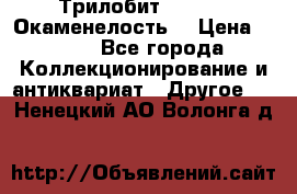 Трилобит Asaphus. Окаменелость. › Цена ­ 300 - Все города Коллекционирование и антиквариат » Другое   . Ненецкий АО,Волонга д.